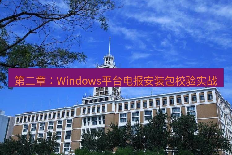 电报官网 第二章：Windows平台电报安装包校验实战