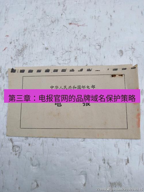 电报官网 第三章：电报官网的品牌域名保护策略