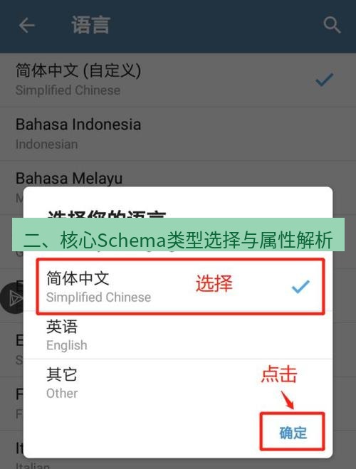 电报官网 二、核心Schema类型选择与属性解析