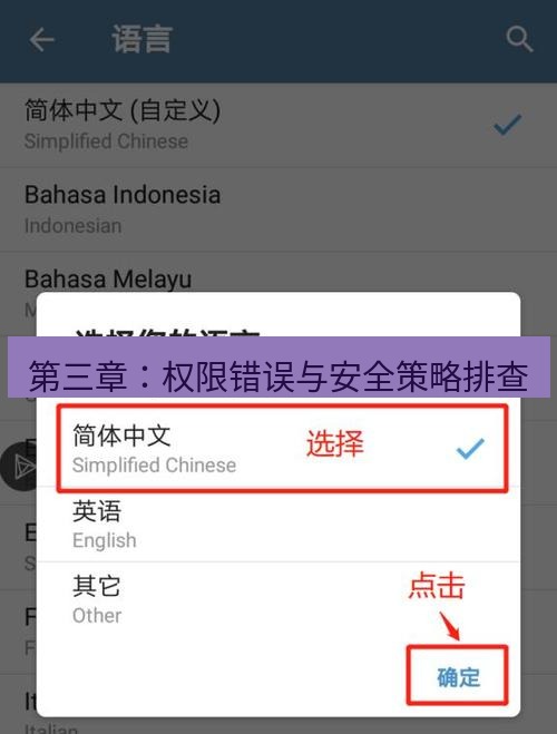 电报官网 第三章：权限错误与安全策略排查