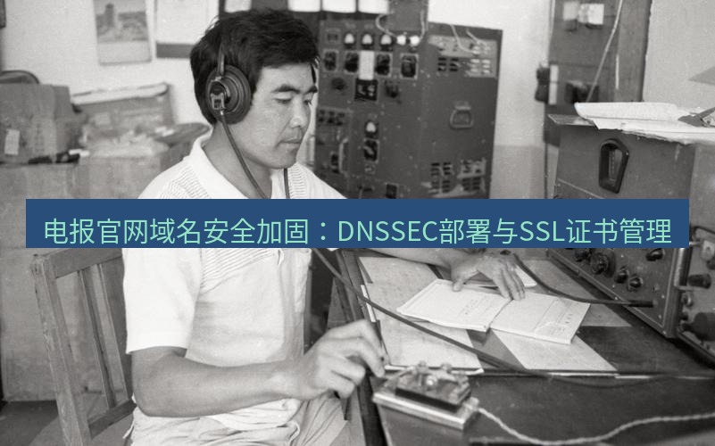 电报官网 电报官网域名安全加固：DNSSEC部署与SSL证书管理