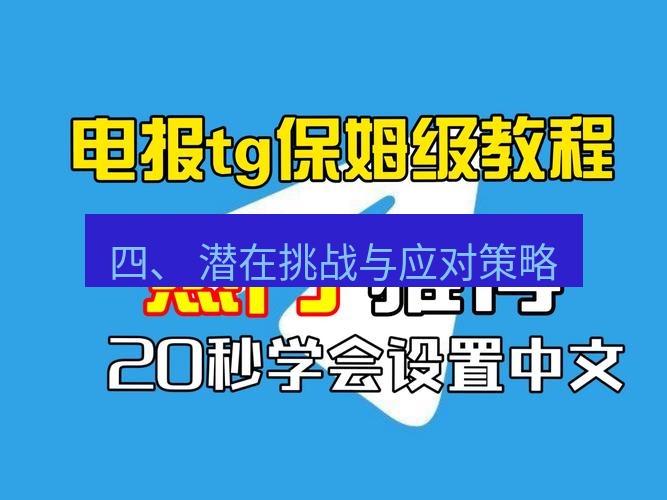 电报官网 四、 潜在挑战与应对策略