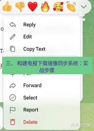 电报官网 三、 构建电报下载镜像同步系统：实战步骤
